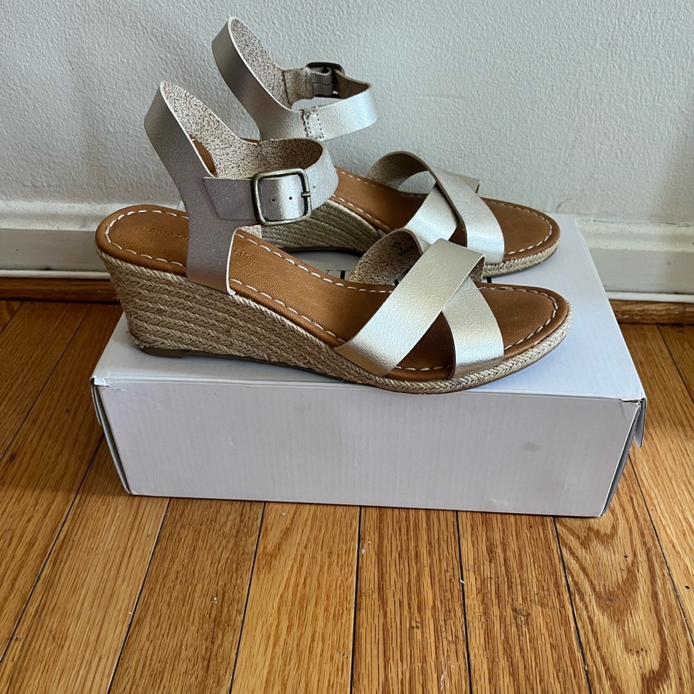 Elegant Silver Wedge Sandals